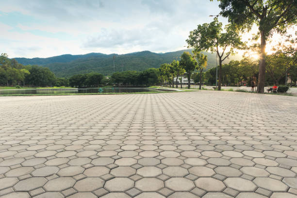 Best Professional Driveway Pavers  in Fowlerville, MI